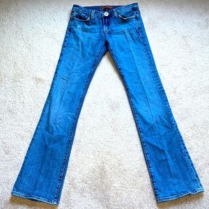 Women’s Vertigo Blue Jeans Size 29